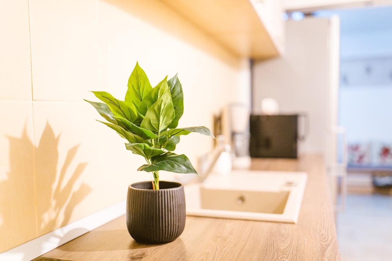 Apartament Maria Gyulafehérvár Kültér fotó